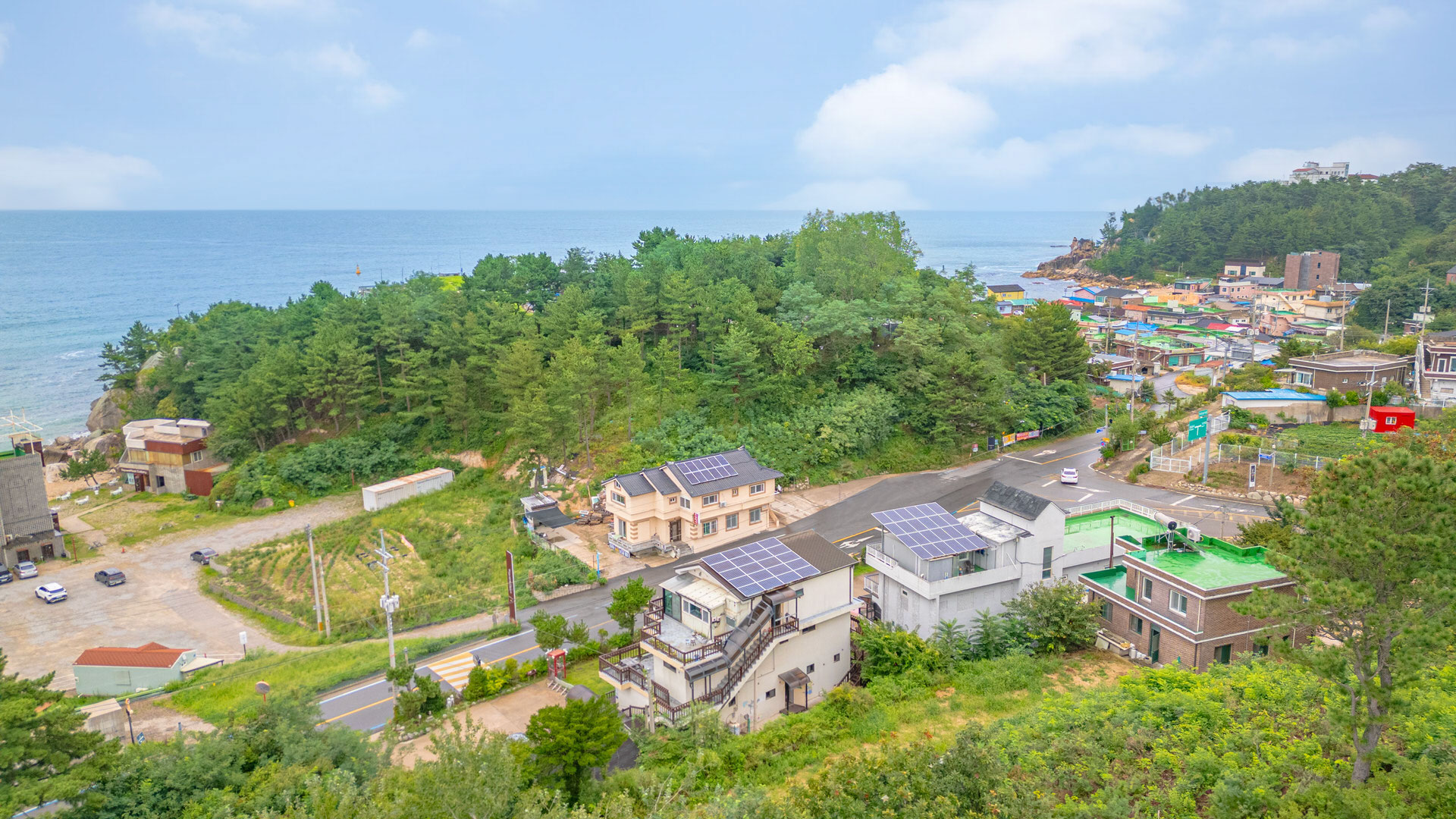 스페셜 사진1